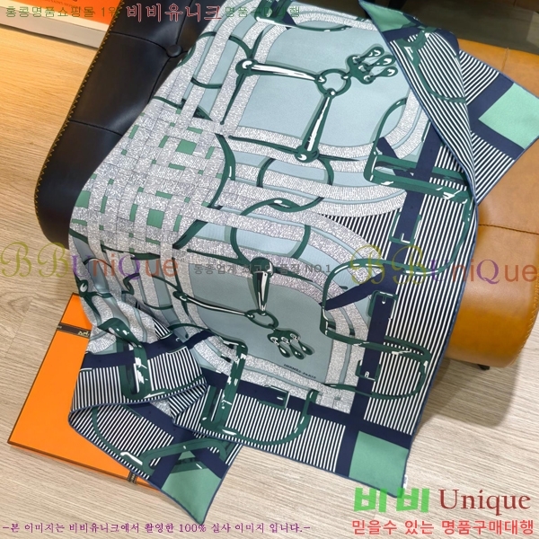 #�����޽� ���÷�/��ī�� SHMS2621-2