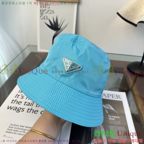 ����� ���� PR5216176-1