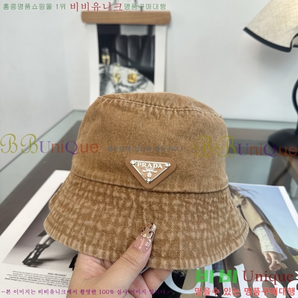 ����� ���� PR5216179-3
