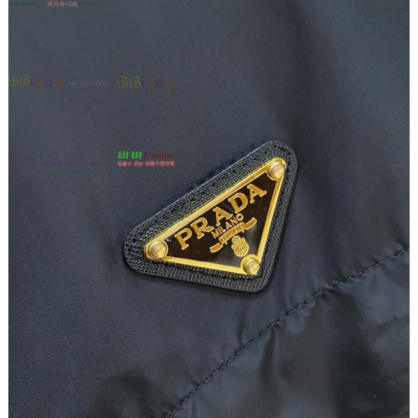 ���� ����� ��Ŷ PA246587