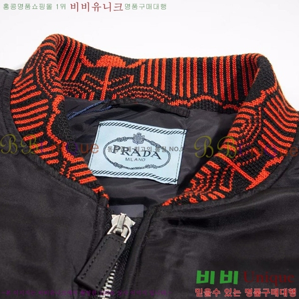 ���� ����� ��Ŷ PA248379