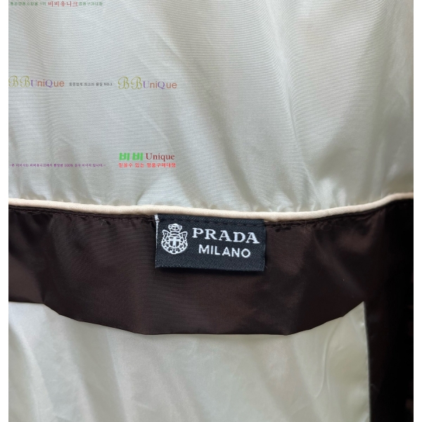 ���� ����� ��Ŷ PA248385