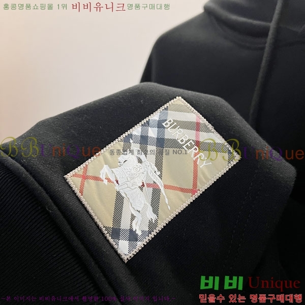 ���� ������ �ĵ�Ƽ BU385176-2