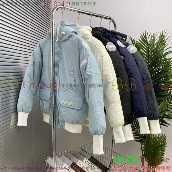 ���� ĳ���ٱ��� �ٿ� �е� CAG15736-1