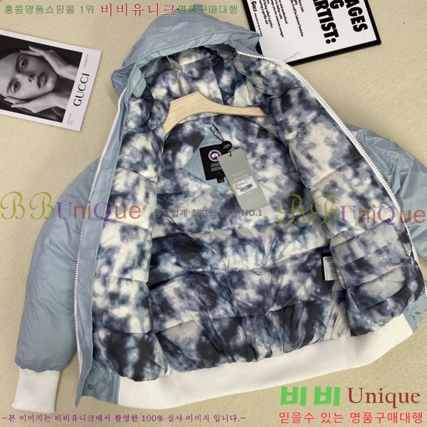 ���� ĳ���ٱ��� �ٿ� �е� CAG15736-1