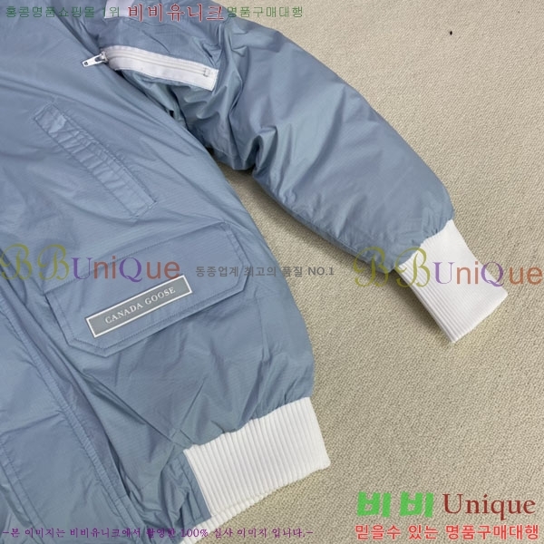 ���� ĳ���ٱ��� �ٿ� �е� CAG15736-1