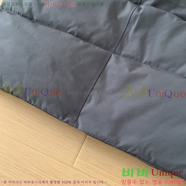���� ĳ���ٱ��� �ٿ� �е� CAG15737-1