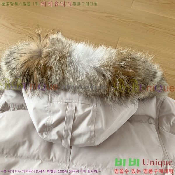 ���� ĳ���ٱ��� �ٿ� �е� CAG15737-5