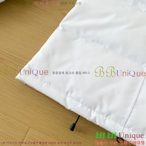 ���� ĳ���ٱ��� �ٿ� �е� CAG15738-2