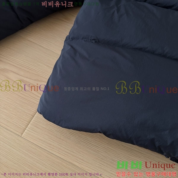 ���� ĳ���ٱ��� �ٿ� �е� CAG15741-3