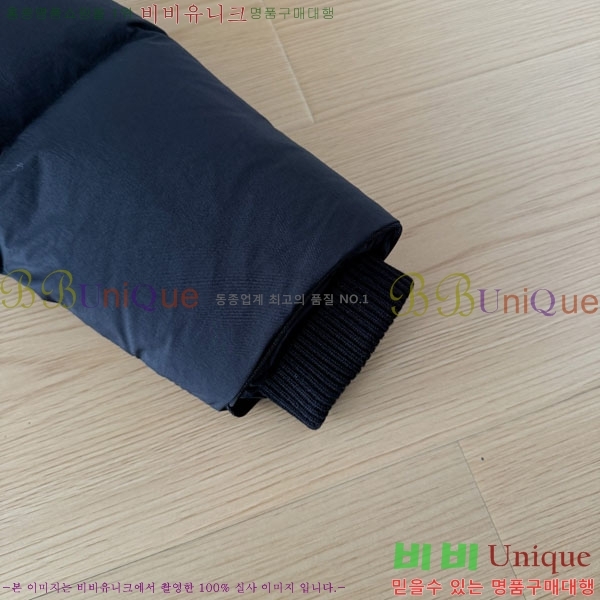 ���� ĳ���ٱ��� �ٿ� �е� CAG15742-2