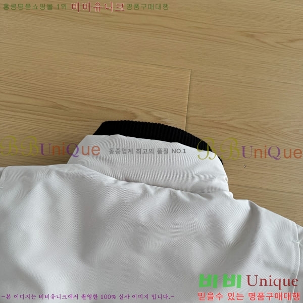 ���� ĳ���ٱ��� �ٿ� �е� CAG15743-1