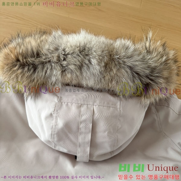 ���� ĳ���ٱ��� �ٿ� �е� CAG15744-3