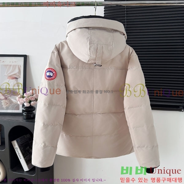 ���� ĳ���ٱ��� �ٿ� �е� CAG15745-1