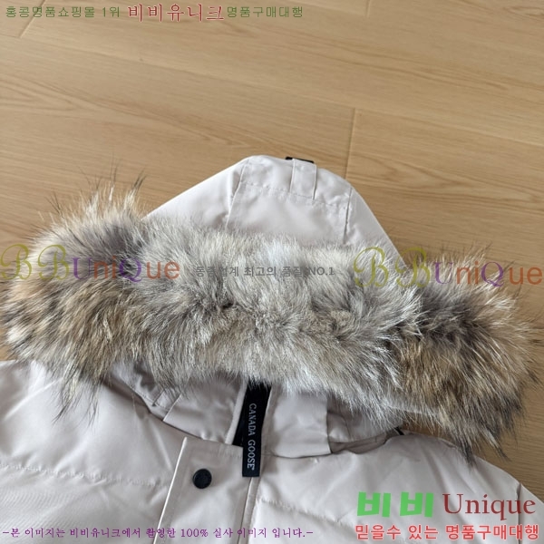 ���� ĳ���ٱ��� �ٿ� �е� CAG15745-1