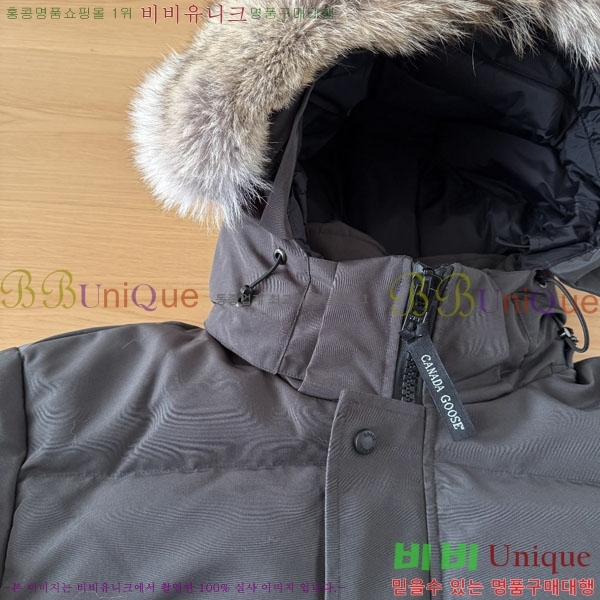 ���� ĳ���ٱ��� �ٿ� �е� CAG15745-3