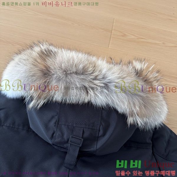 ���� ĳ���ٱ��� �ٿ� �е� CAG15745-5
