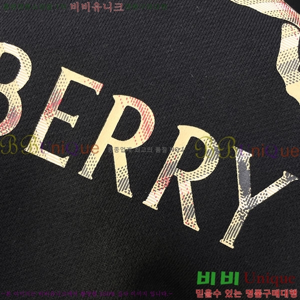 ���� ������ �ĵ�Ƽ BU385184