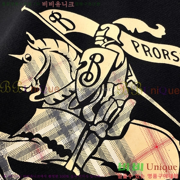 ���� ������ �ĵ�Ƽ BU385184