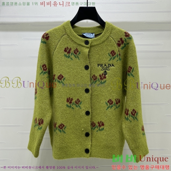 ���� ����� ������ ����� PRA265704-1