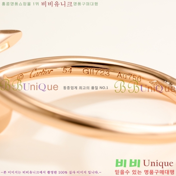 �������� ��쿡 ���� CA2450733-10