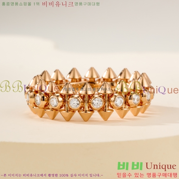 �������� ��쿡 ���� CA2450733-2