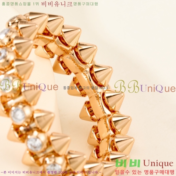 �������� ��쿡 ���� CA2450733-2
