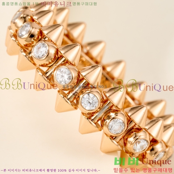 �������� ��쿡 ���� CA2450733-2