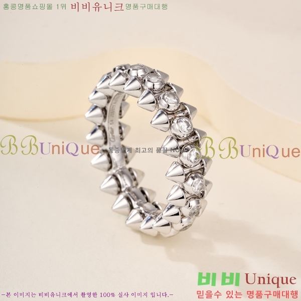 �������� ��쿡 ���� CA2450733-2
