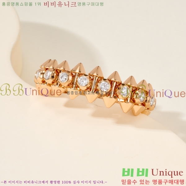 �������� ��쿡 ���� CA2450733-2