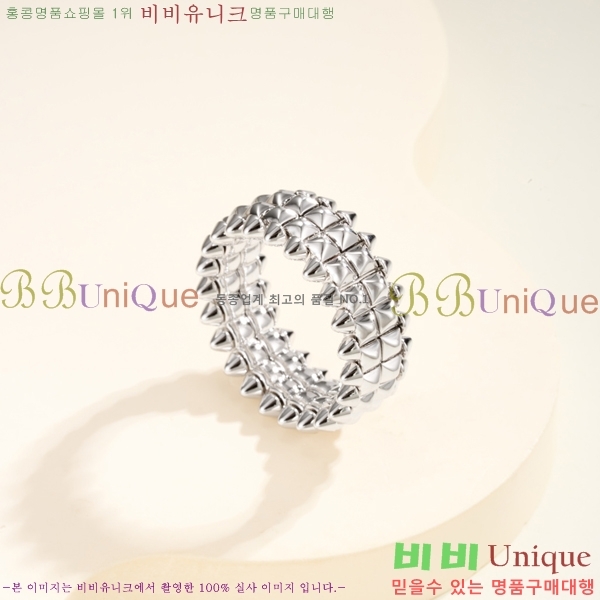 �������� ��쿡 ���� CA2450733-1