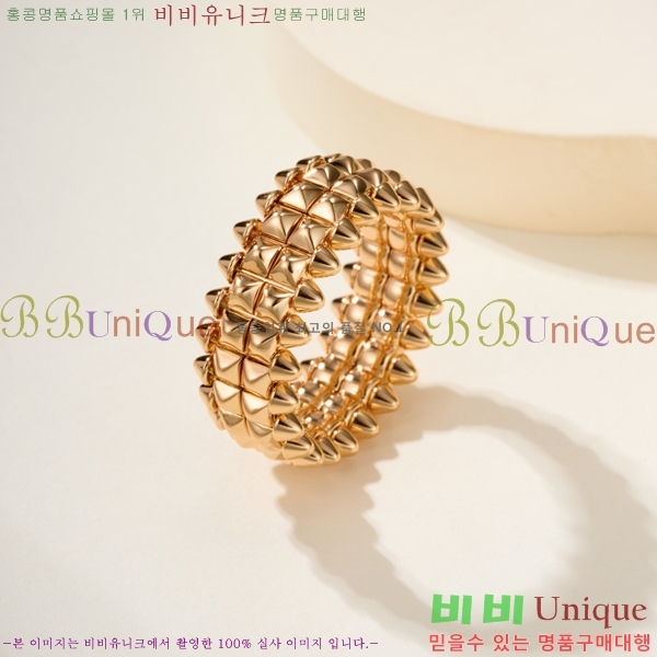 �������� ��쿡 ���� CA2450733-1