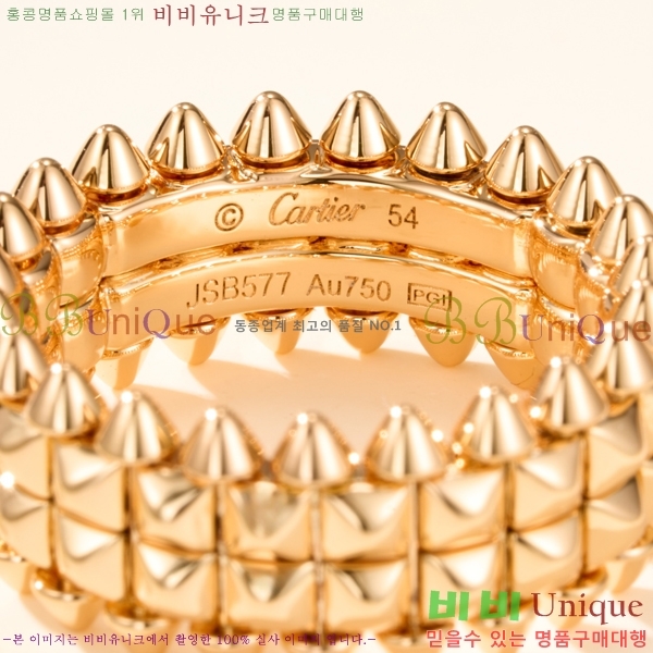 �������� ��쿡 ���� CA2450733-1