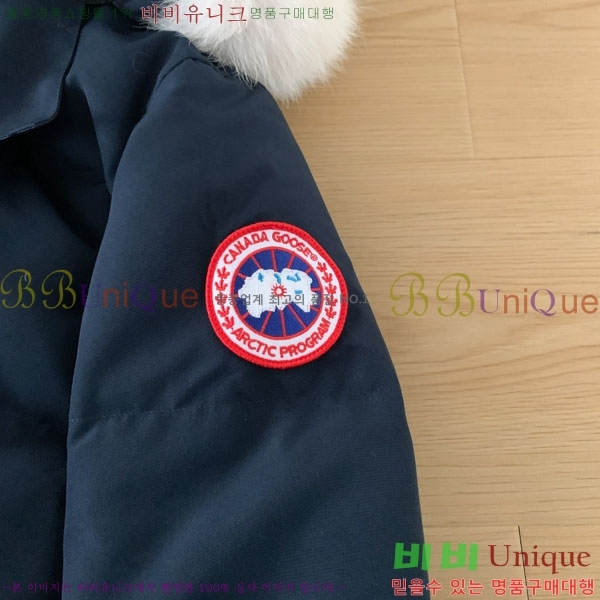 ���� ĳ���ٱ��� �ٿ� �е� CAG15738-5