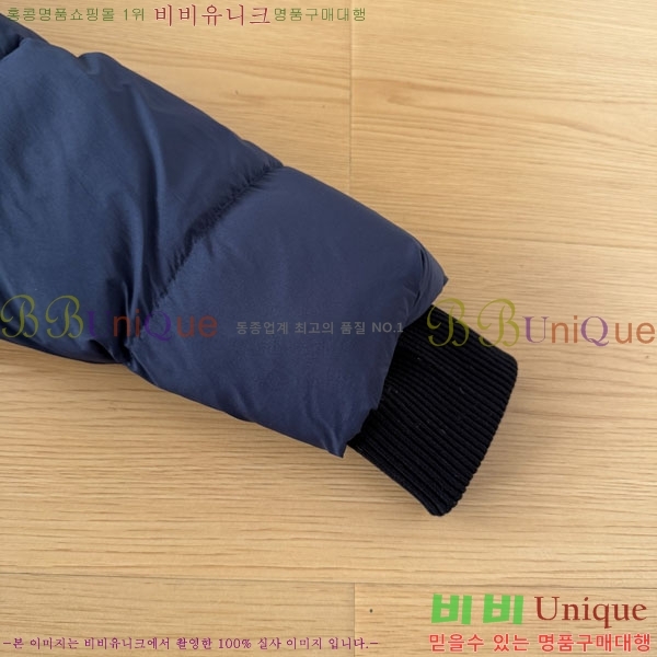 ���� ĳ���ٱ��� �ٿ� �е� CAG15742-3