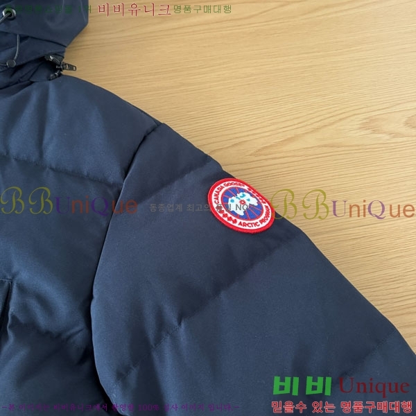 ���� ĳ���ٱ��� �ٿ� �е� CAG15745-6
