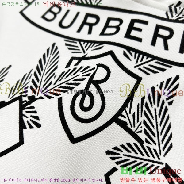 ���� ������ �ĵ�Ƽ BU385171-2