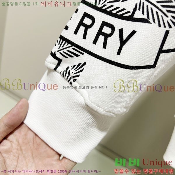 ���� ������ �ĵ�Ƽ BU385171-2