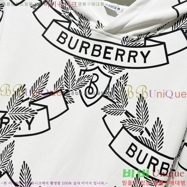 ���� ������ �ĵ�Ƽ BU385171-2