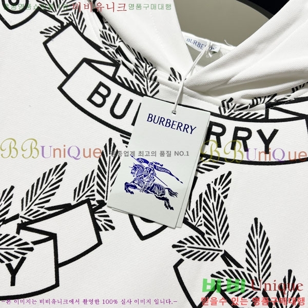 ���� ������ �ĵ�Ƽ BU385171-2